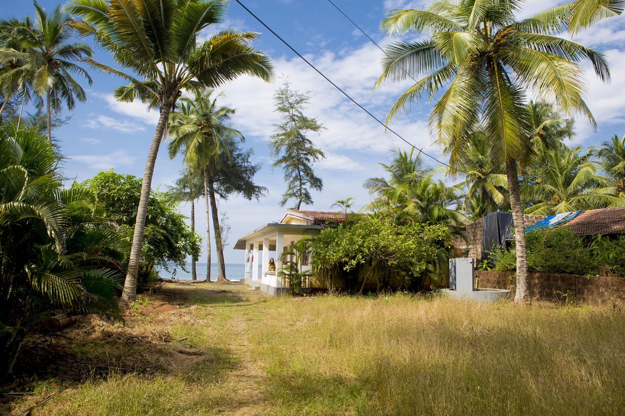 Talpona Paradise Beach House Канакона Екстер'єр фото